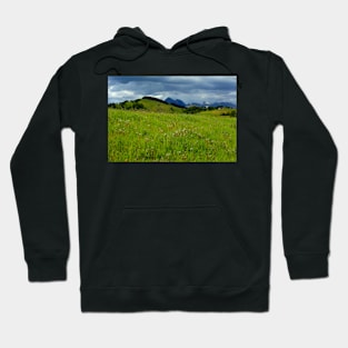 A cloudy day Hoodie